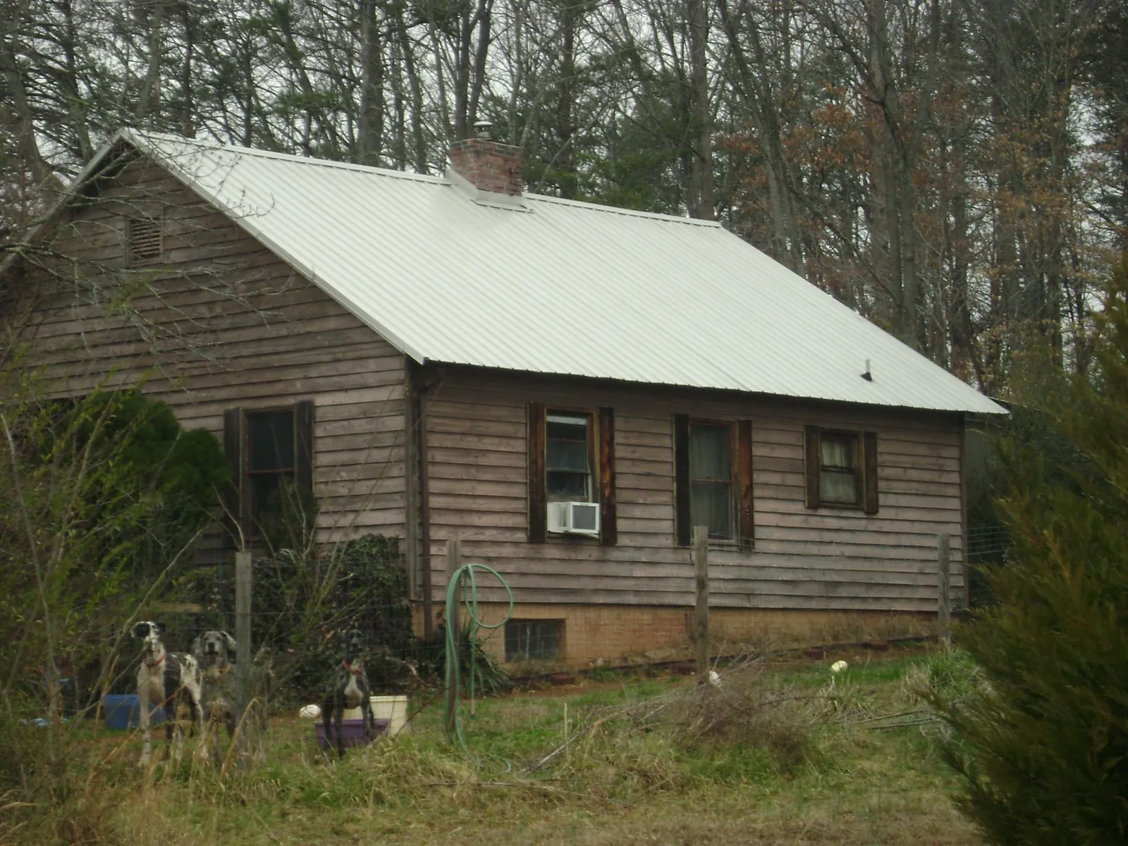 White metal roof on an old wood sided farmhouse, from a Asphalt Shingle Roof Repair job in Arvin